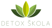 Detox škola